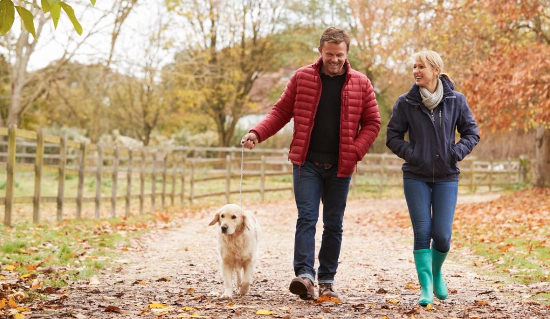 Mental Health header image